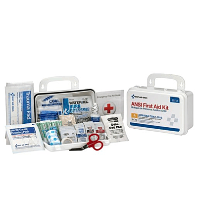 10 Person Bulk ANSI A, Plastic